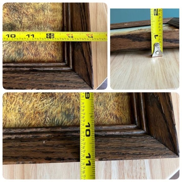 Vtg Tom Beecham Hungarian Partridge Hunting Dog Print On Board Framed 14x11x1 - Picture 9 of 9